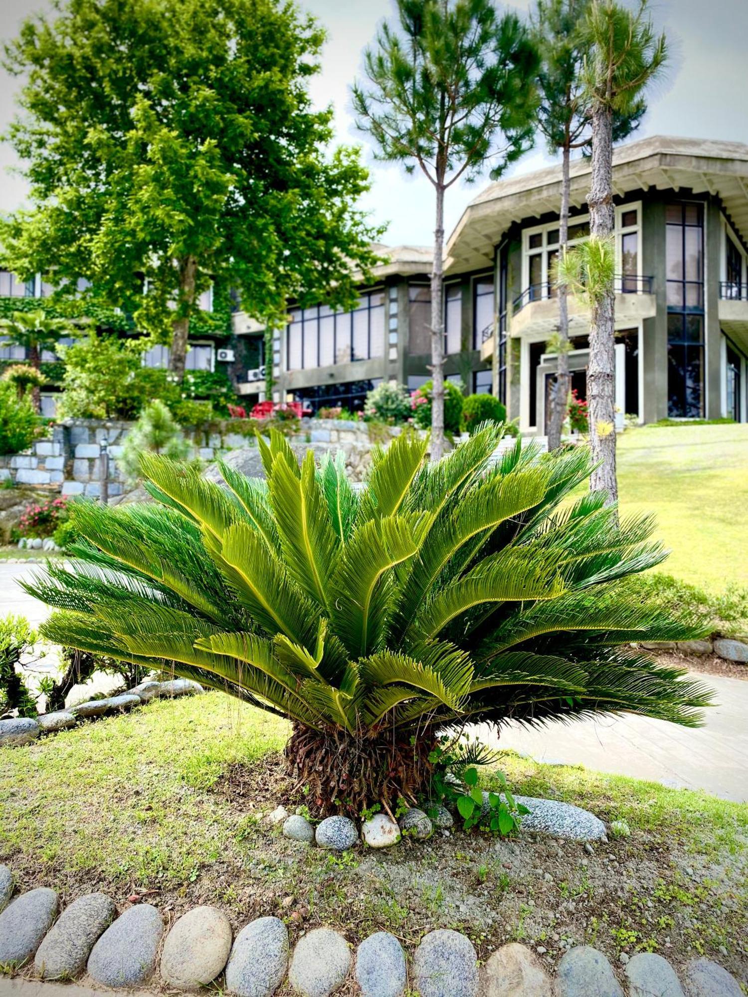 Rock City Resort Saidu Sharif Экстерьер фото